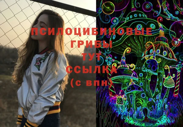 мескалин Надым