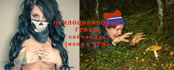стаф Михайловск