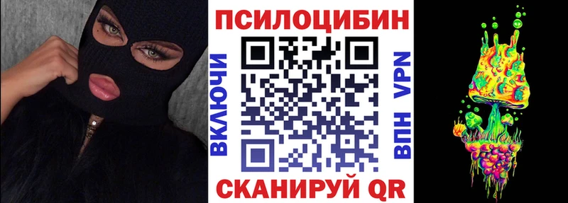 Купить где Берёзовка Галлюциногенные грибы Cubensis